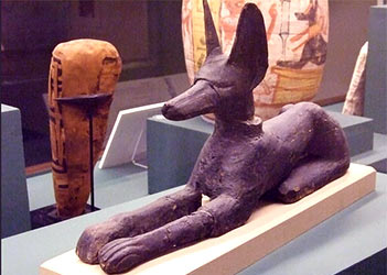 Anubis statue in Rosicrucian Egyptian museum