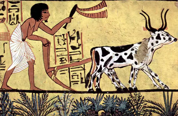 Depiction of an ox-drawn plow