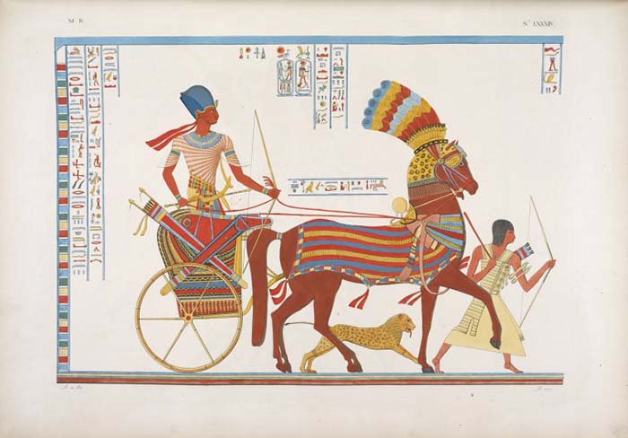 Ancient Egyptian Chariot