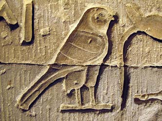 Relief of Horus at Kom Ombo