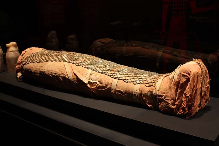 Mummy exhibit in a museum